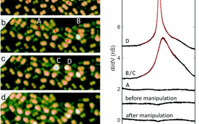 Visualization of colesterol Moléculas at the Au(111) substrate in Free and Aggregated Forms by STM and AFM