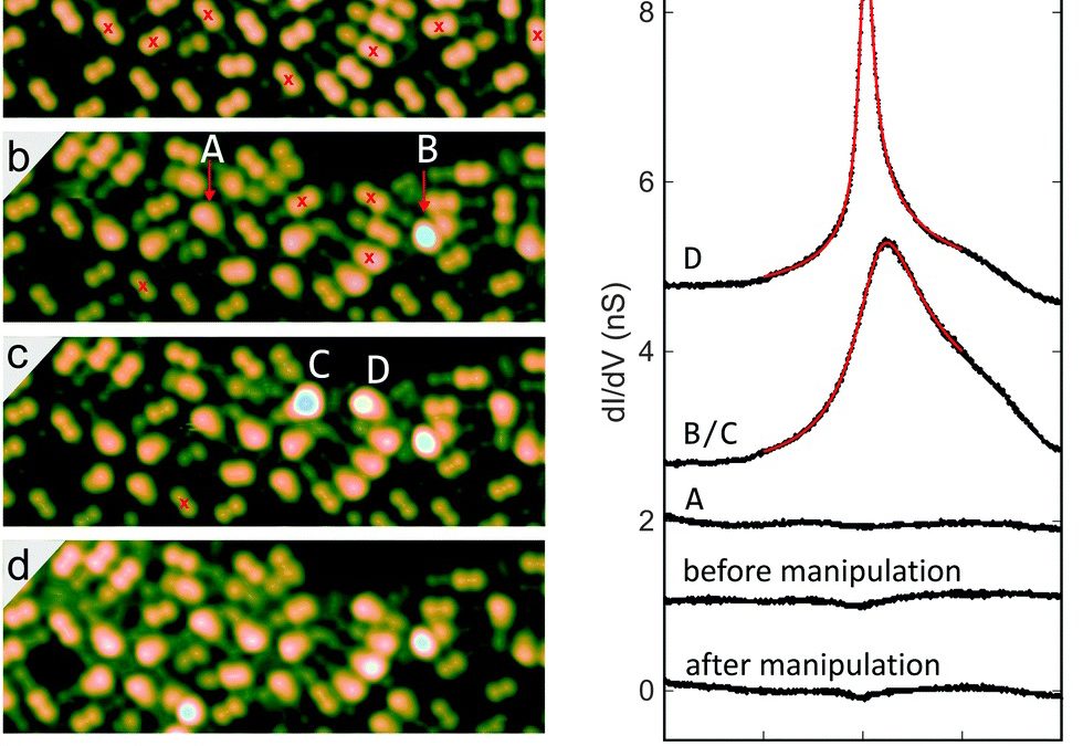 Visualization of colesterol Moléculas at the Au(111) substrate in Free and Aggregated Forms by STM and AFM