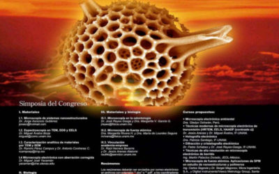 BO7.-Visualización de moléculas de colesterol en forma de agregados sobre substrato de Au (111) por AFM