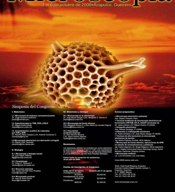 BO7.-Visualización de moléculas de colesterol en forma de agregados sobre substrato de Au (111) por AFM