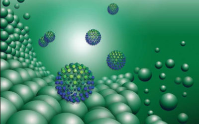 LDL/HDL on Au (111) substrate: AFM Visualization