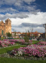 THE AFM VISUALIZATION OF THE LDL ON THE Au (111) SUBSTRATE