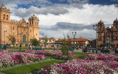 THE AFM VISUALIZATION OF THE LDL ON THE Au (111) SUBSTRATE