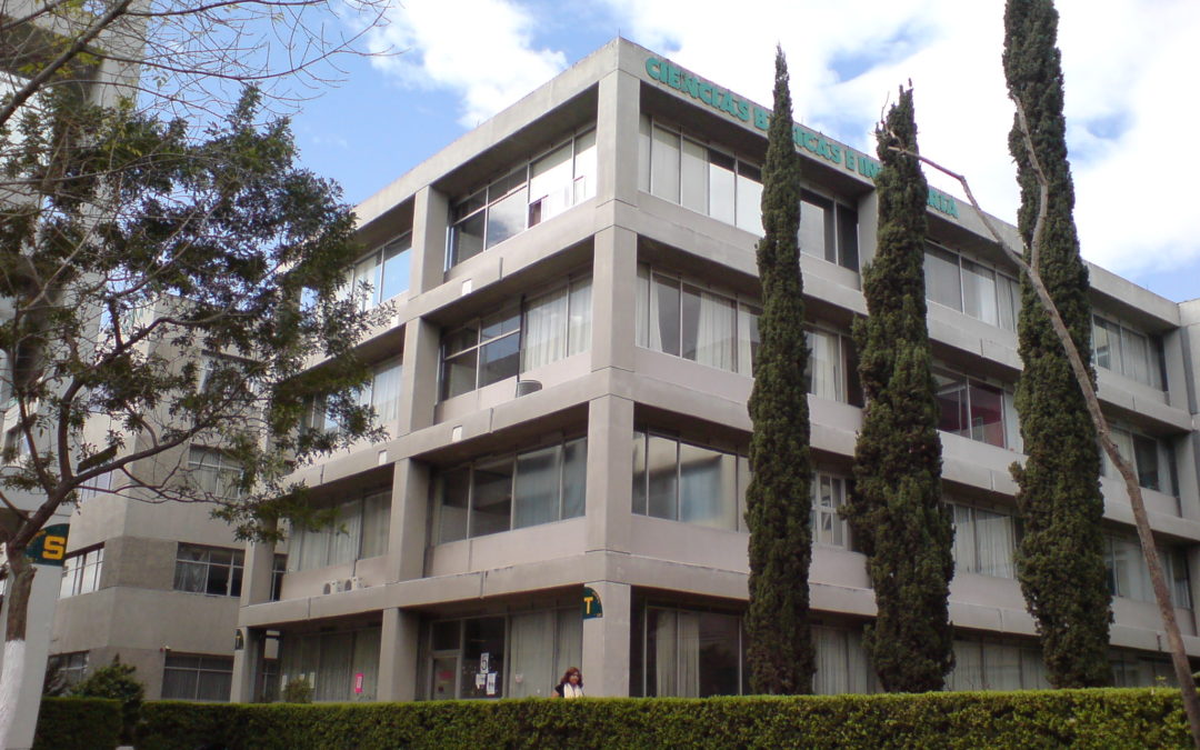 Visualización y caracterización de moléculas de colesterol en substratos sólidos por microscopía electrónica de barrido de efecto túnel (STM)