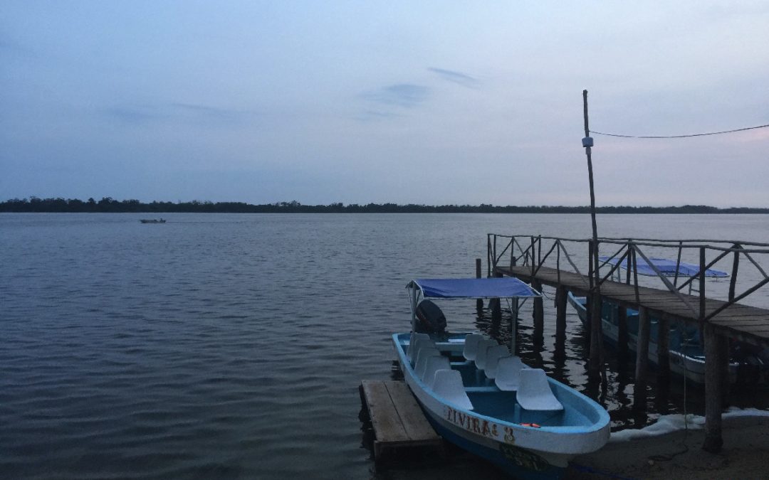 Laguna de Manialtepec